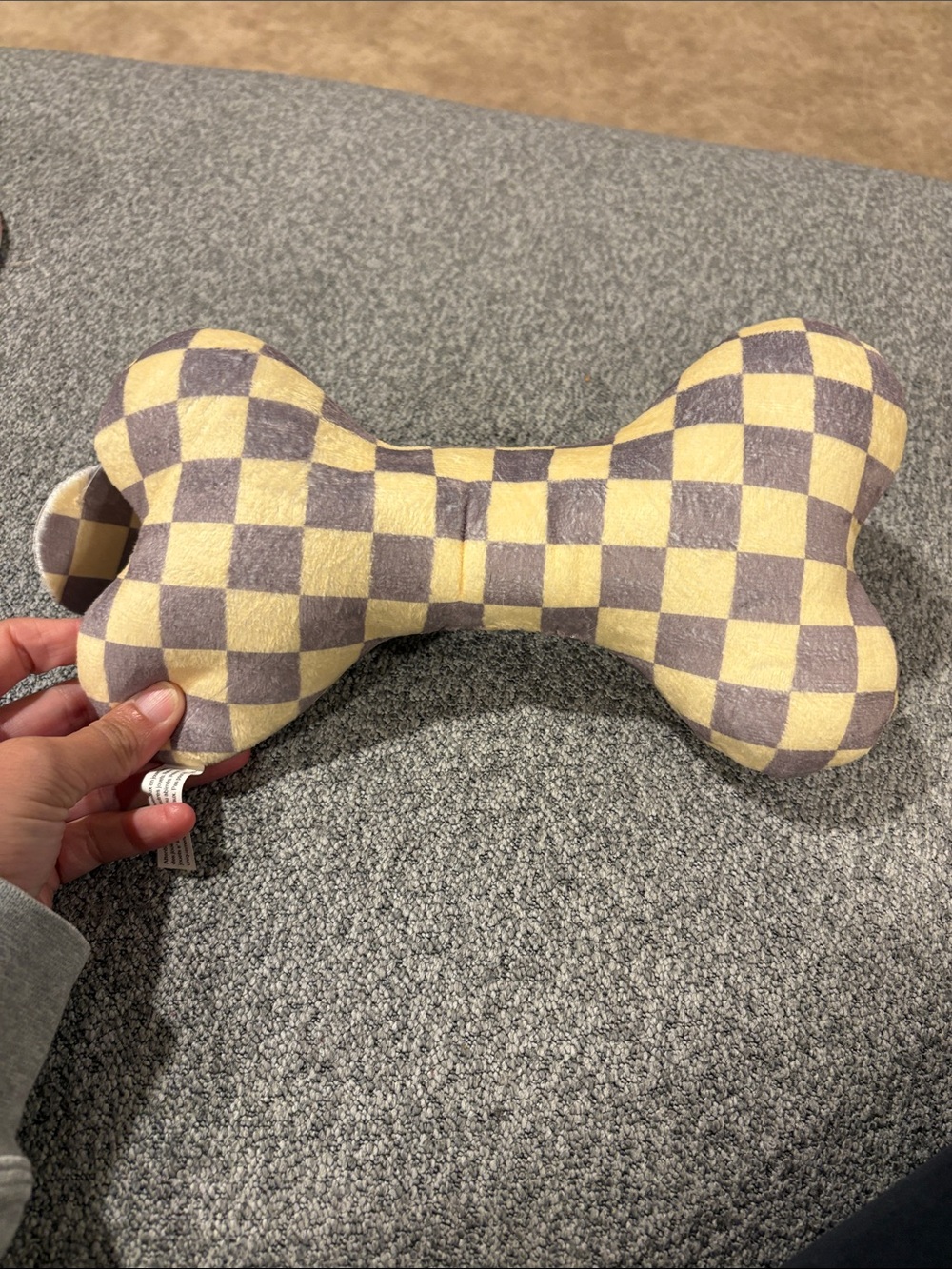 Chewy Vuiton dog set - Picture 6 of 10